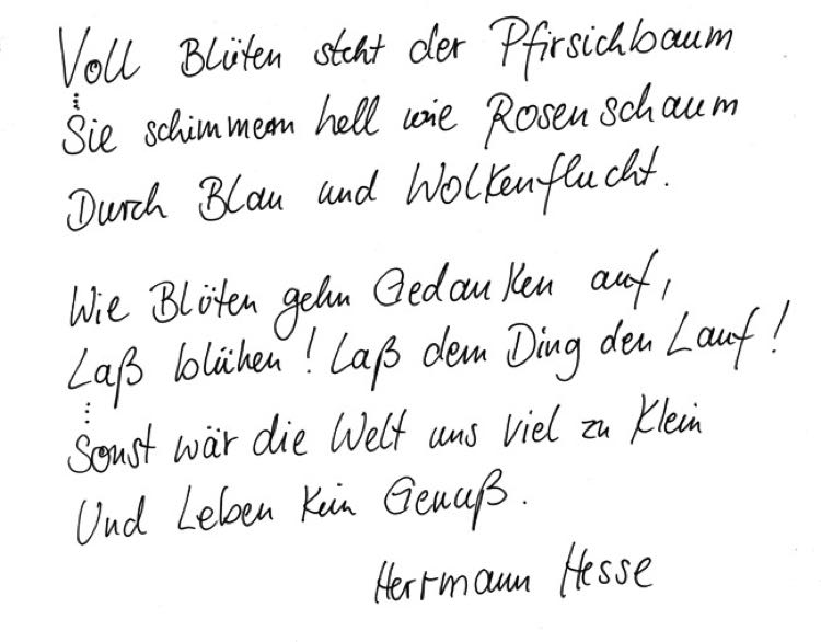 hermann-hesse